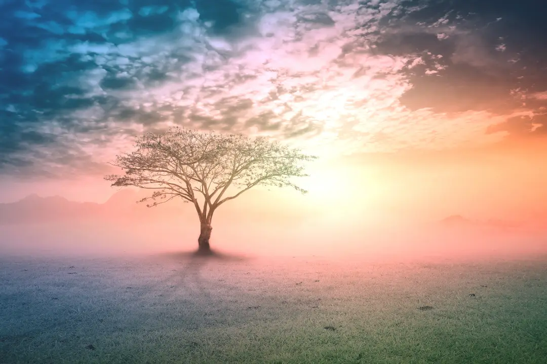 التطهير الروحي – Exhale